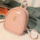 Pink Bag